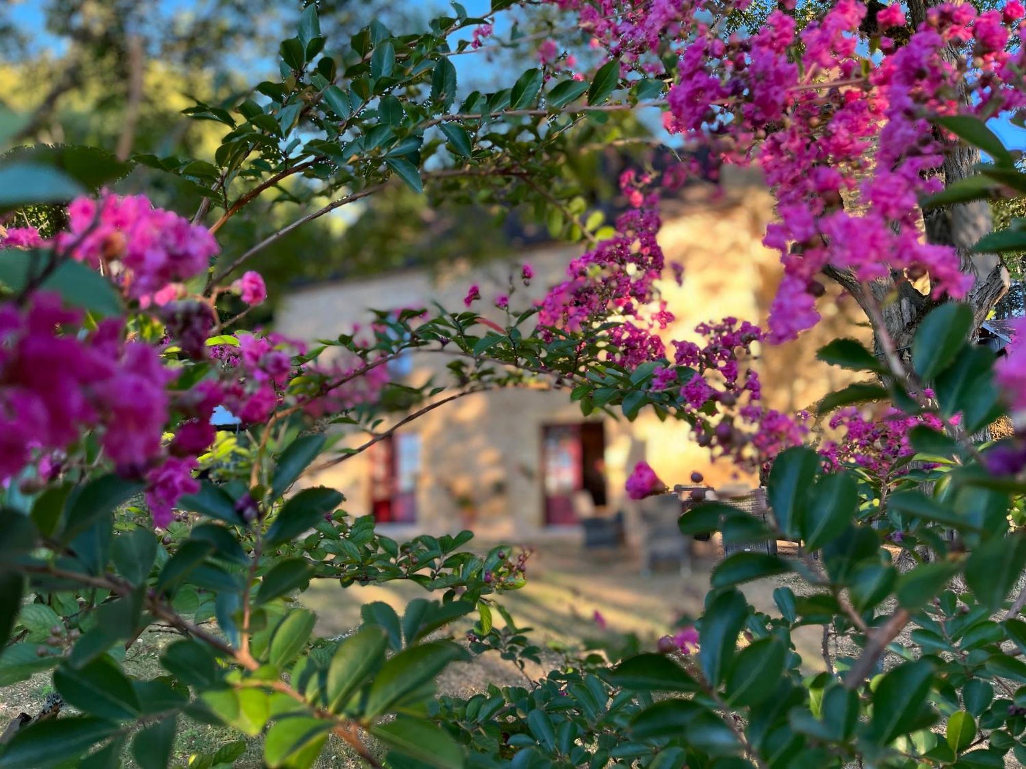Roquebrune Saint-Alvere Екстер'єр фото
